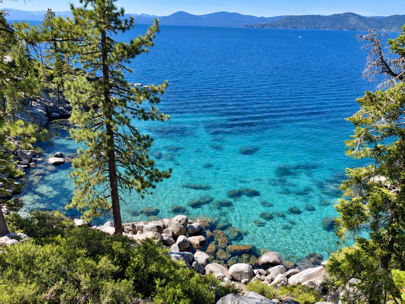Lake Tahoe viewed through pine trees, with clear blue water and mountains in the distance.